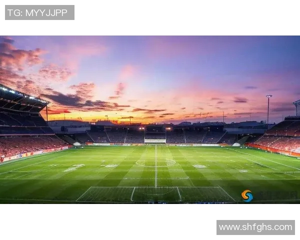 外号砖石的足球明星如何在绿茵场上闪耀光芒与荣耀